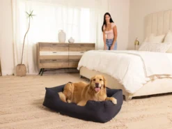 Aufblasbares Hundebett – Intex