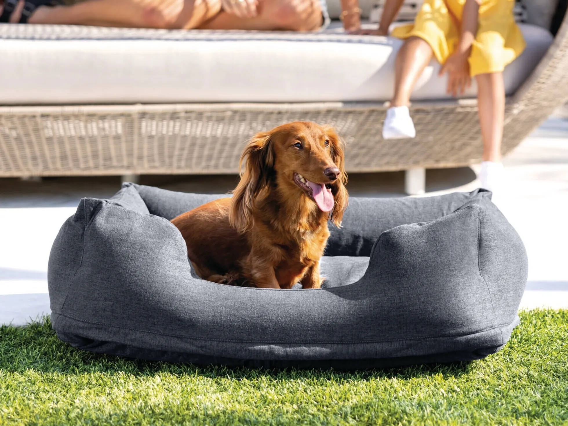 Aufblasbares Hundebett – Intex
