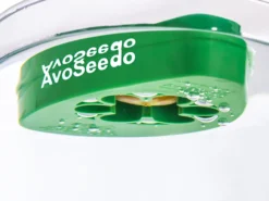 AvoSeedo - züchte Avocado