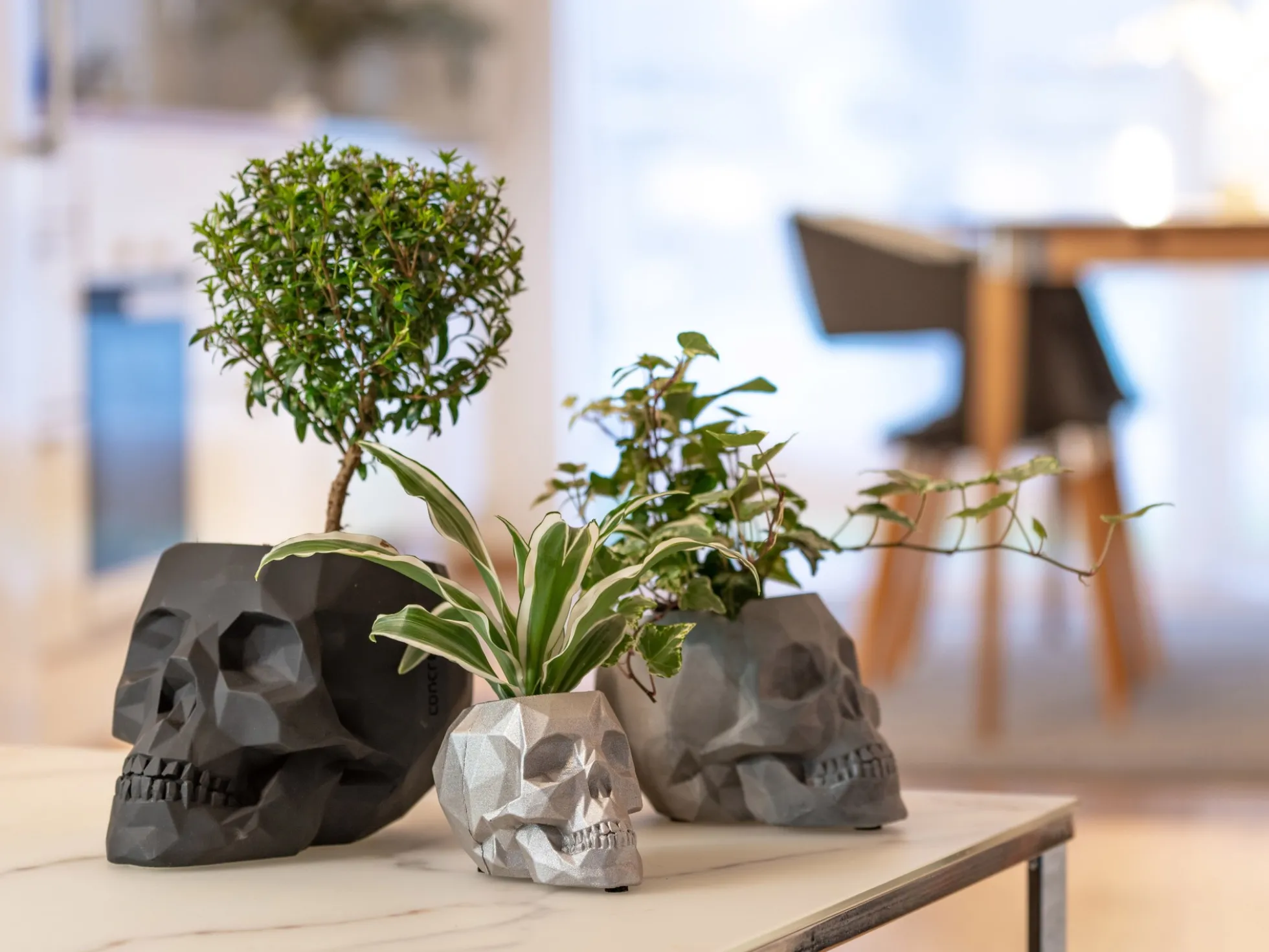 Blumentopf Totenkopf
