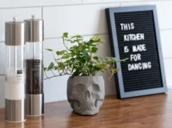 Blumentopf Totenkopf