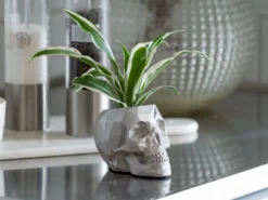 Blumentopf Totenkopf