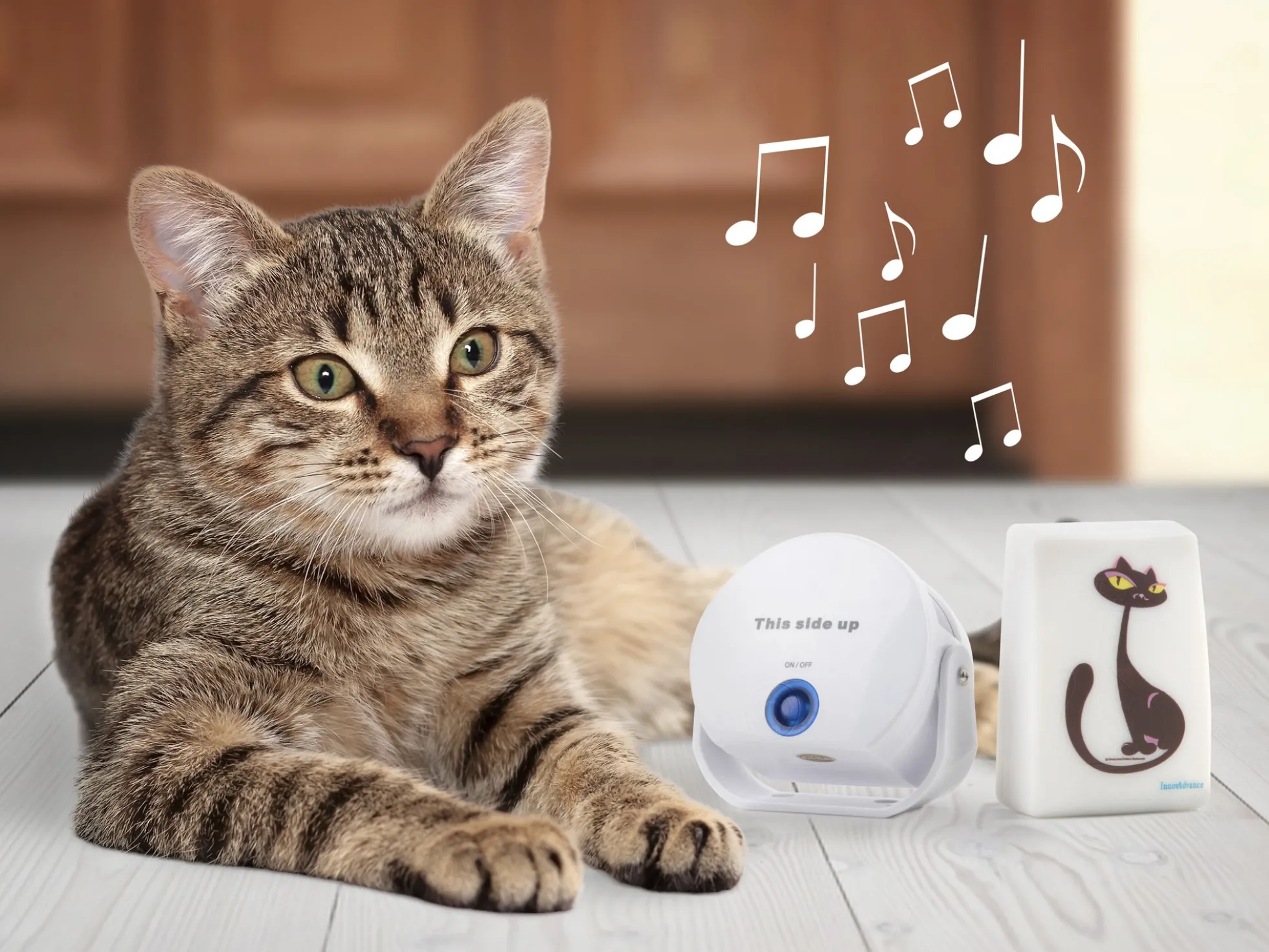 Cat DoorBell-Katzenklingel
