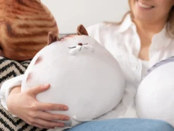 Dickes Katzenkissen