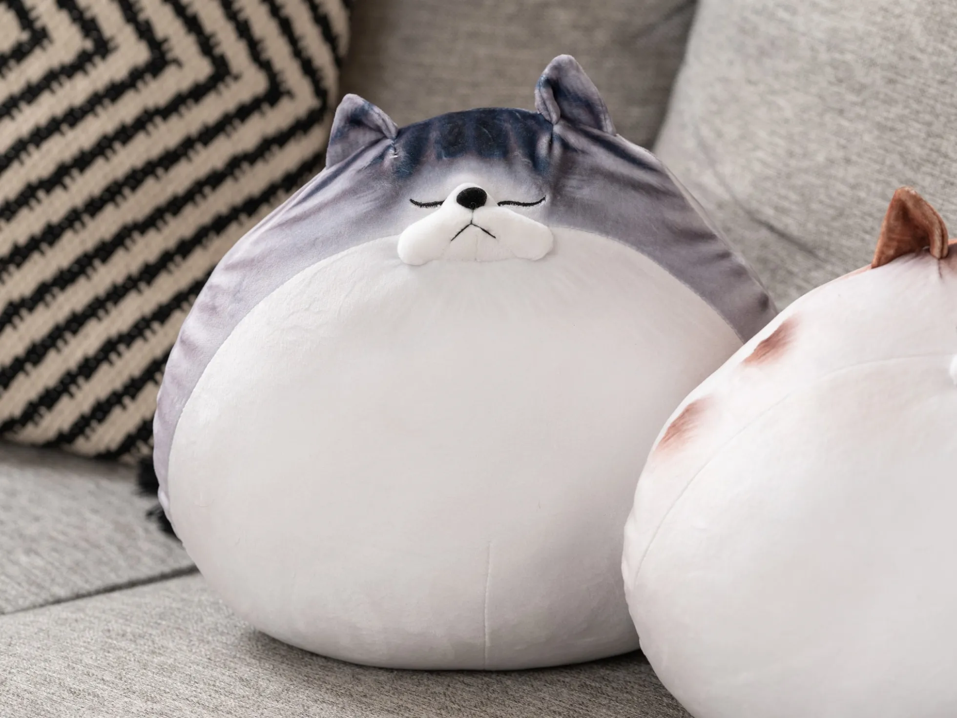 Dickes Katzenkissen