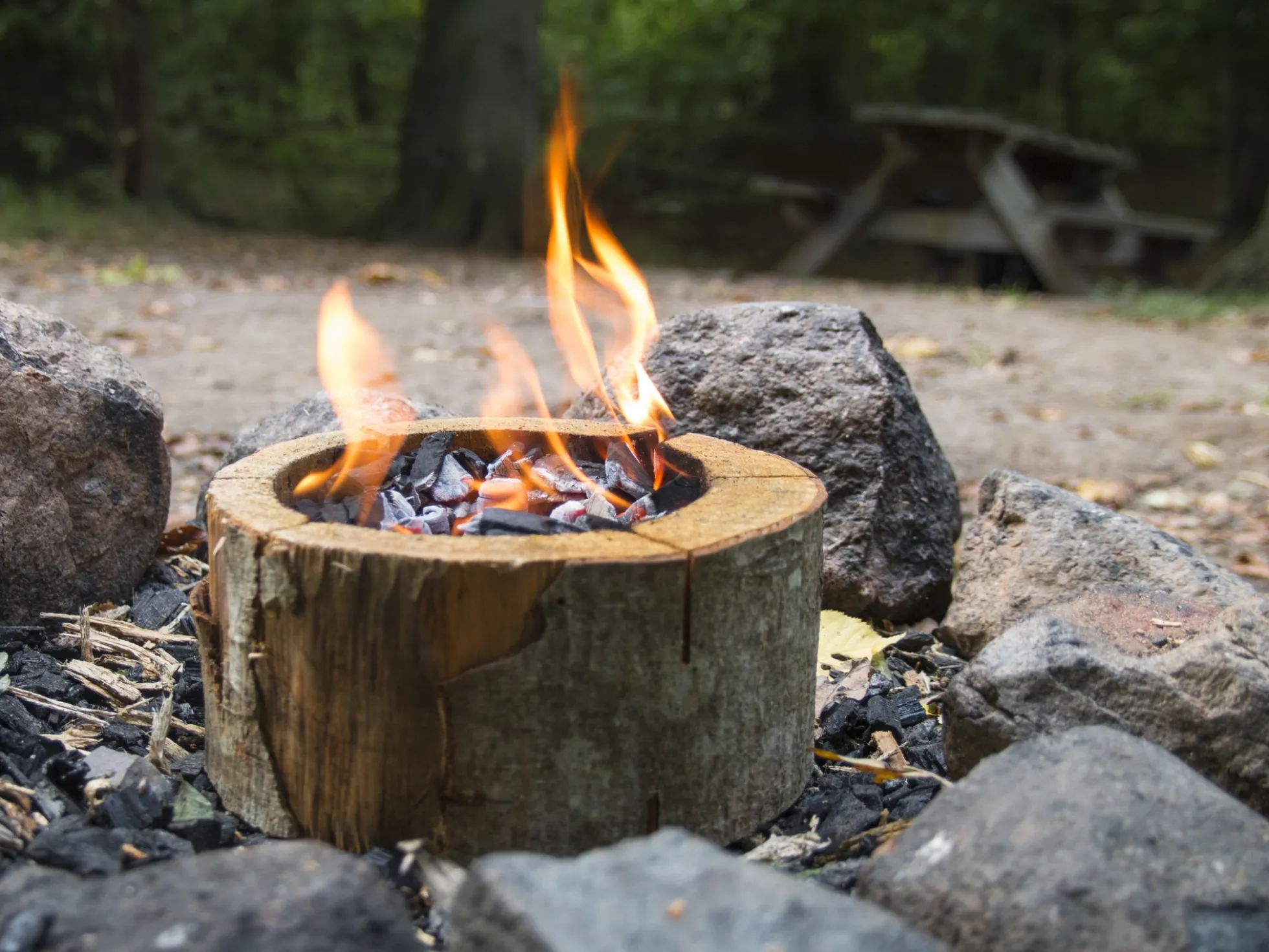 Eco Grill Einmalgrill