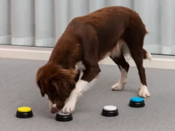 Einspielbare Kommandotasten Für Hunde - Spralla
