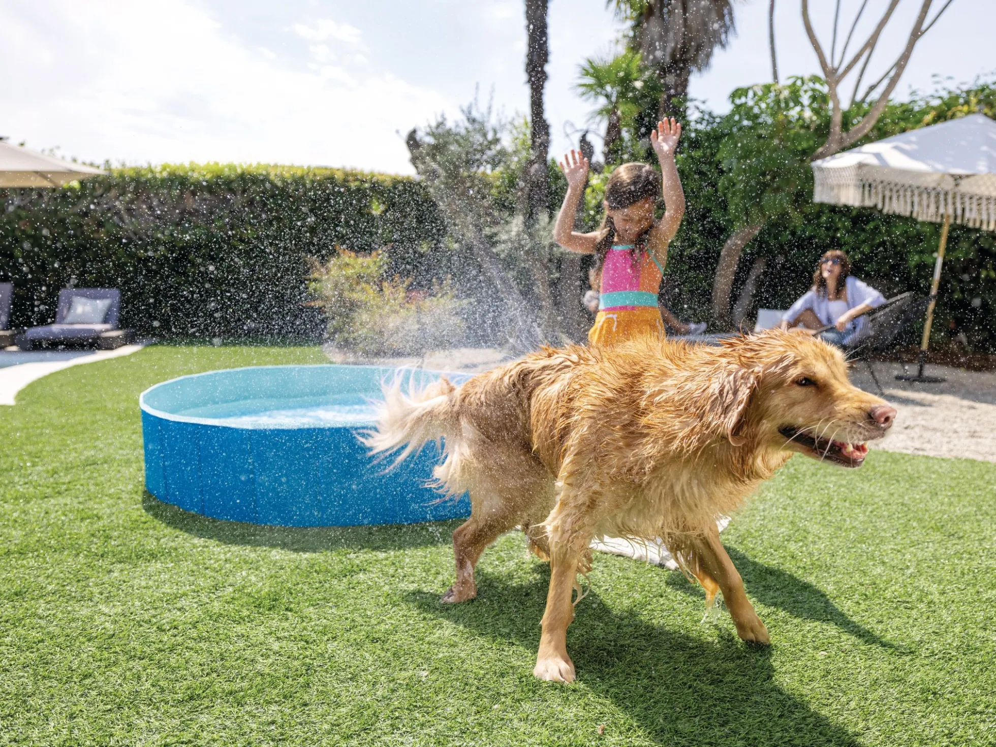 Faltbarer Hundepool – Intex