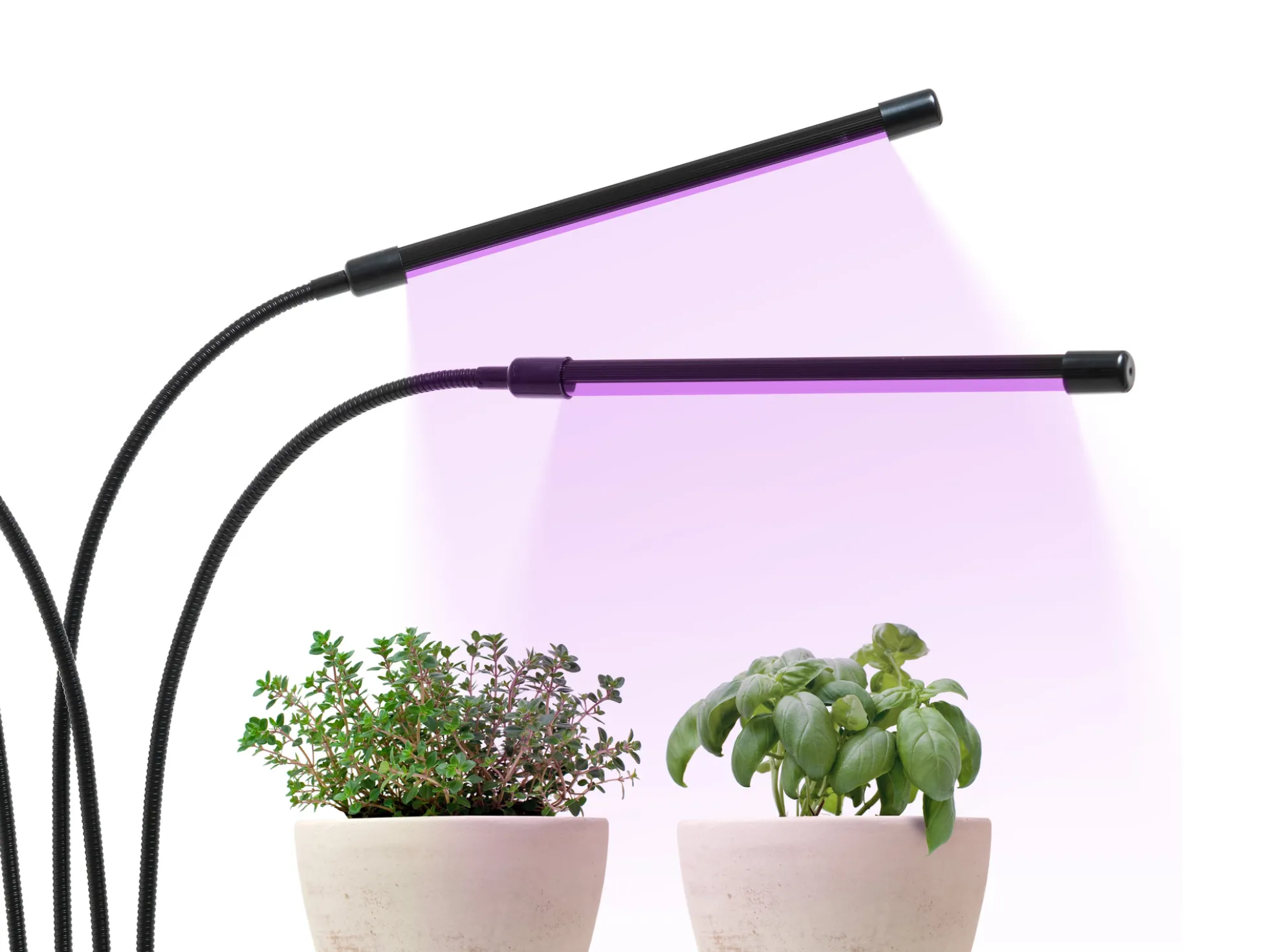 Flexible LED-Pflanzenlampe - KitchPro