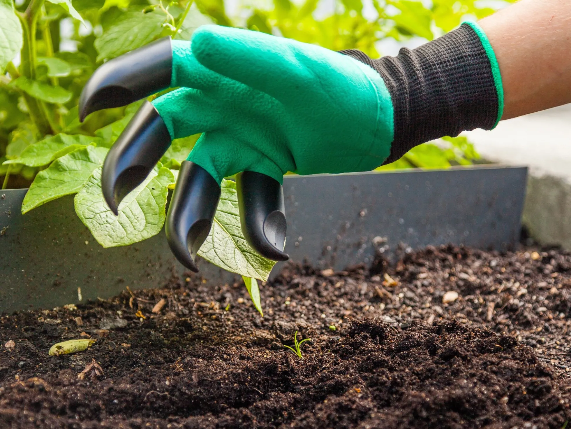 Gartenhandschuhe mit Krallen - Spralla