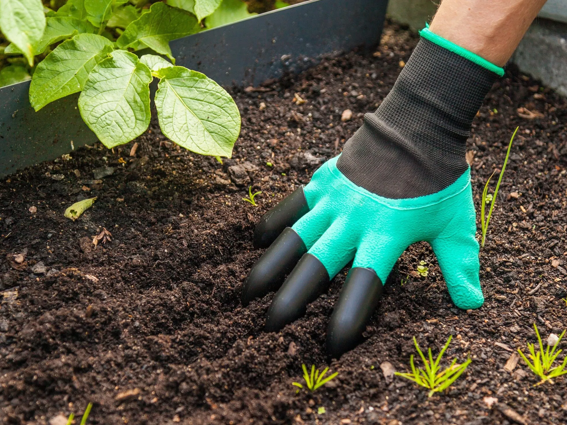 Gartenhandschuhe mit Krallen - Spralla