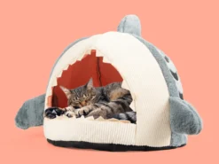 Haischlund Katzenbett