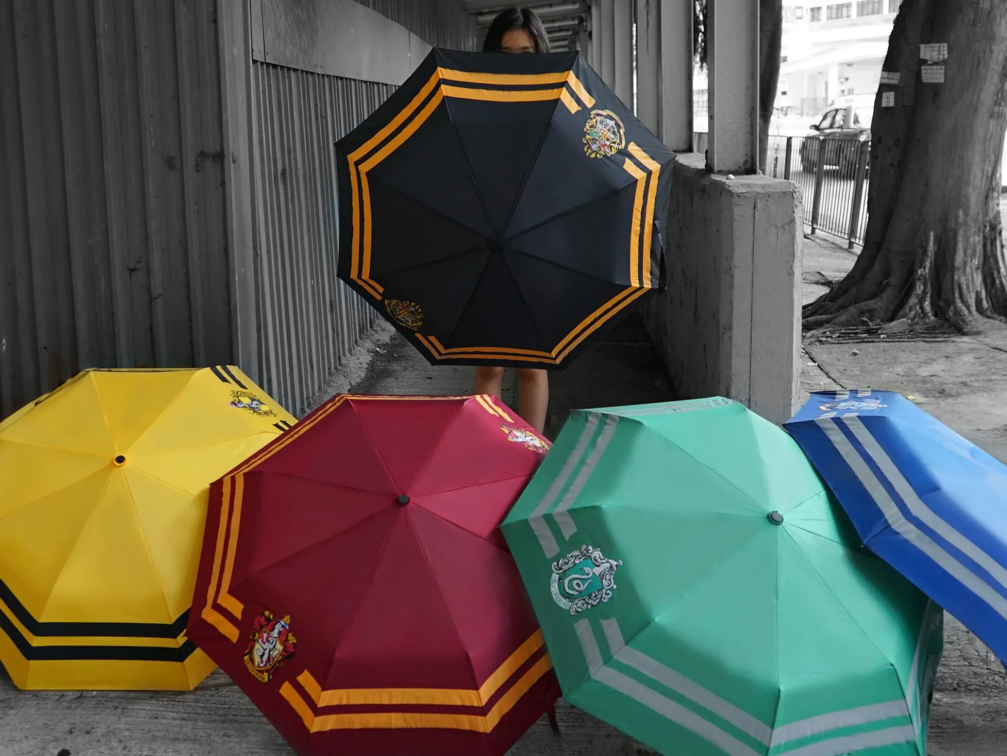 Harry Potter Regenschirm - Hogwarts