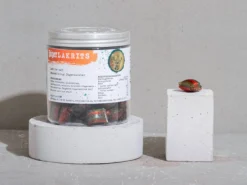 Haupt Lakrits Jägerlakrits