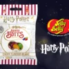 Jelly Belly Bertie Botts Every Flavour Beans