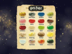 Jelly Belly Bertie Botts Every Flavour Beans