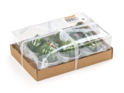 Kaktuskerze, 6er-Pack