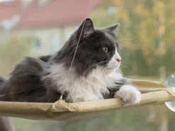 Katzenbett Für Die Fensterbank
