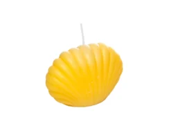 Kerze - Muschel 1-Pack