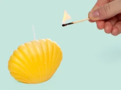 Kerze - Muschel 1-Pack