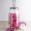 Kilner Fermentierset
