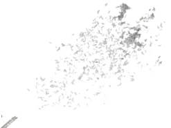 Konfettikanone Silber
