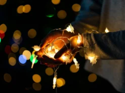 Lichterkette Weihnachtsbäume 3m