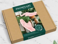 Mini Houseplant Reinigungshandschuhe Für Zimmerpflanzen