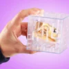 Money Maze