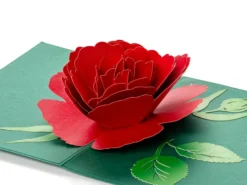 Pop-Up-Karte - Rote Rose