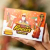 Reese's Peanut Butter Cups Selection Box