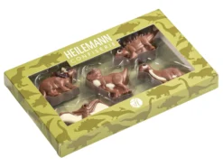 Schokoladenbox Dinosaurier