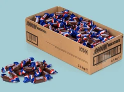 Snickers Süßigkeiten 2,5 kg