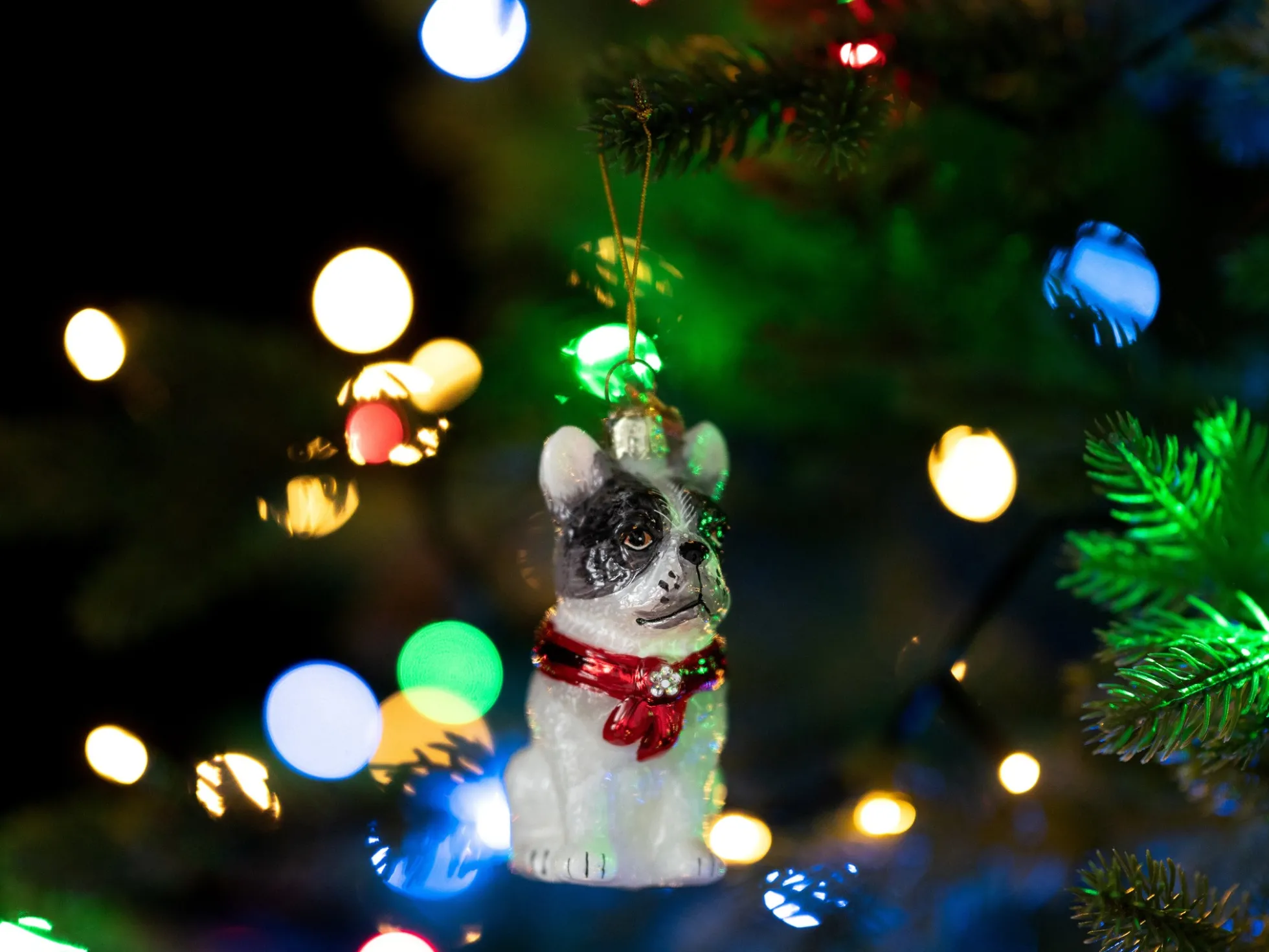 Weihnachtsbaumschmuck Französische Bulldogge