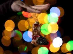 Weihnachtsbaumschmuck Yorkshire Terrier